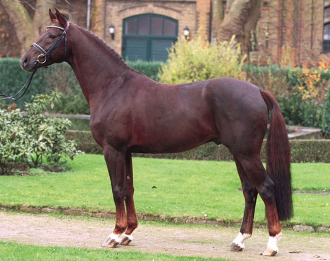 Fiano (by Fidermark x Fruhlingsball) :: Photo © NRW