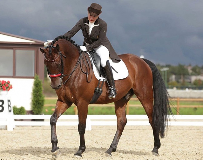 Diana Zakharova and her wonderful gelding Toress receiving a well deserved pat on the neck