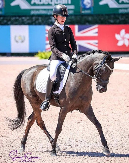Tori Belles on Prince Z competing at the 2018 CDI Wellington :: Photo © Sue Stickle