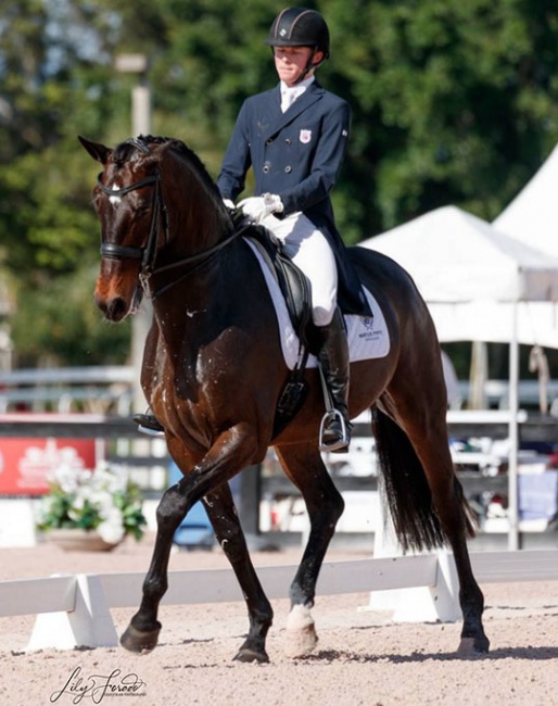 Benjamin Ebeling and Illuster van de Kampert at the 2019 CDN Wellington on Sunday 6 January 2019 :: Photo © Lily Forado