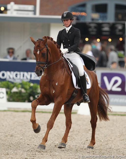 Caroline Darcourt and Sankt Erik II at the 2016 World Young Horse Championships :: Photo © Astrid Appels