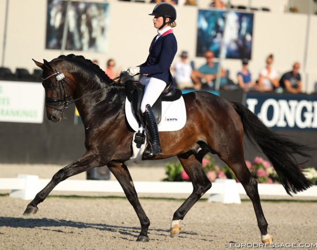 Dinja van Liere and Hermes at the 2018 World Young Horse Championships :: Photo © Astrid Appels