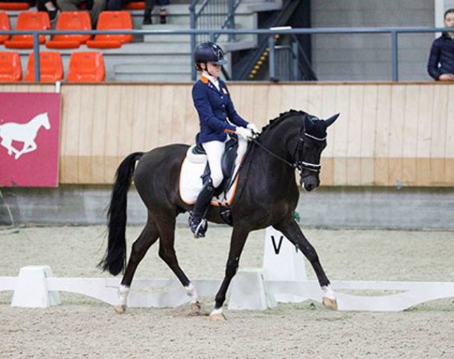 Evi van Rooij and King Stayerhof's Jango at the 2019 Dutch Indoor Pony Championships :: Photo © Digishots