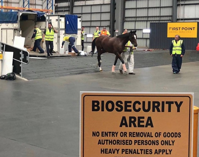 Arrival at First point Animal Services the award-winning animal transfer facility at Melbourne airport that is operated by IRT. Upon arrival, horses are then transported to the Mickleham Quarantine facility where they stay for a minimum of 2 weeks.