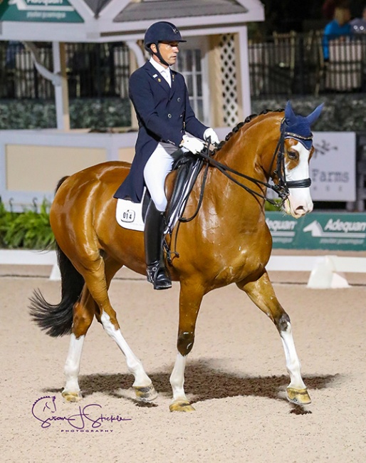 Christoph Koschel and Action Ace in the 2019 Palm Beach Dressage Derby :: Photo © Sue Stickle