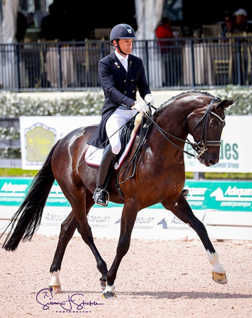 Christoph Koschel and Shakespeare win the Inaugural Future Stars Performance Series Final at 2019 CDI Wellington :: Photo © Sue Stickle