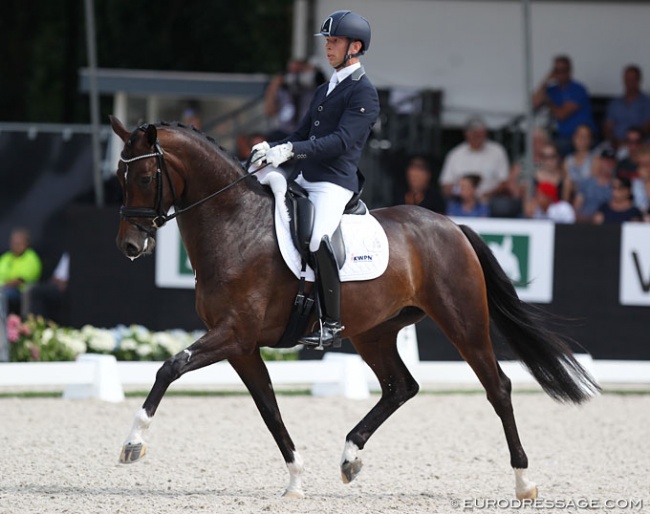 Bart Veeze and Imagine at the 2018 World Young Horse Championships :: Photo © Astrid Appels
