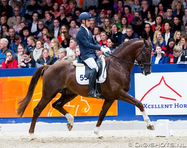 Curro Benitez Sanchez on Kyton Platinum at the 2019 KWPN Stallion Licensing show :: Photo © Digishots