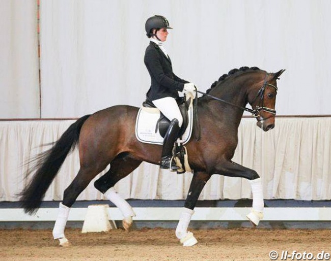 Furst Samarant :: Photo © LL-foto