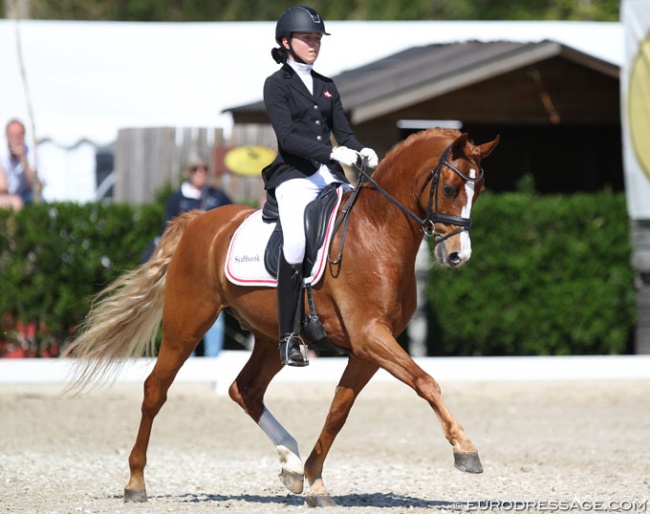 Nathalie Thomassen and Lykkehoejs Dream of Dornik at the 2019 CDI Sint-Truiden :: Photo © Astrid Appels