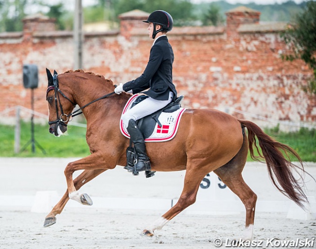 Alexander Yde Helgstrand and Adriano B at the 2019 European Pony Championships :: Photo © Lukasz Kowalski