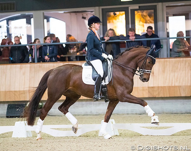 Suzanne Kleijwegt and Finnländerin at the 2018 Dutch Indoor Dressage Championships in Ermelo :: Photo © Digishots