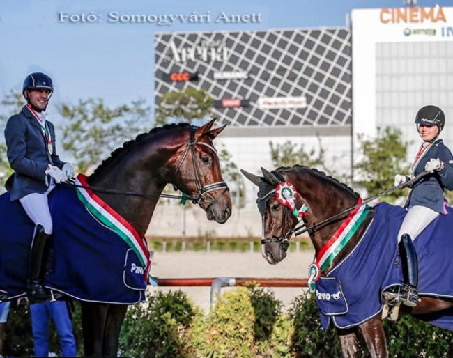 Francois and Vivaldo's Sun at the 2019 Hungarian Young Horse Championships :: Photo © Anett Somogyvari