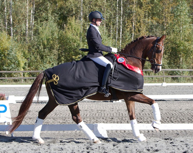 Jonas Elvebakk on Joshua at the 2019 Norwegian Young Horse Championships :: Photo © Line Moen