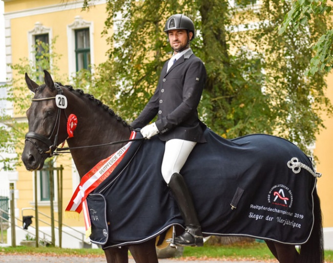 Martin Hauptmann and 4-year old riding horse champion Dark Knight Rises at the 2019 Austrian Warmblood young horse championships 
