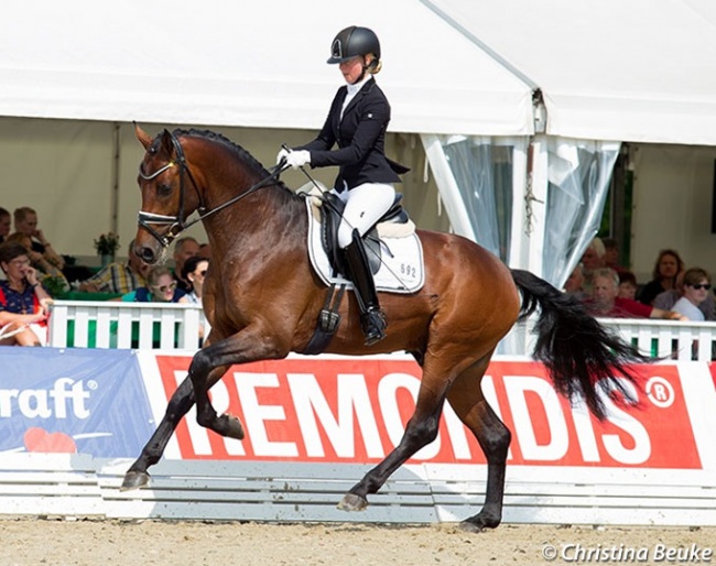 Rod Laver at the 2019 Hanoverian Young Horse Championships in Verden in August :: Photo © Christina Beuke