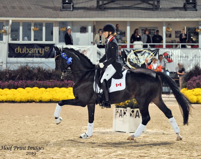 Lindsay Kellock and Sebastien at the 2019 CDI-W Devon :: Photo © Hoof Print Images