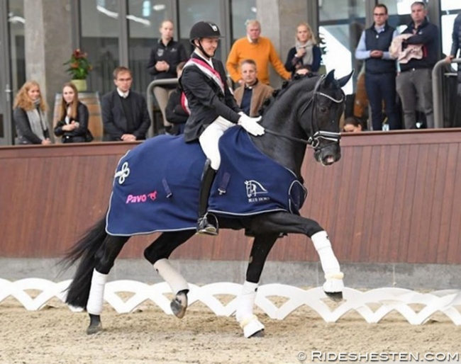 Thomas Sigtenbjerggaard on Kardieno at the 2019 Danish Young Horse Championships :: Photo © Ridehesten