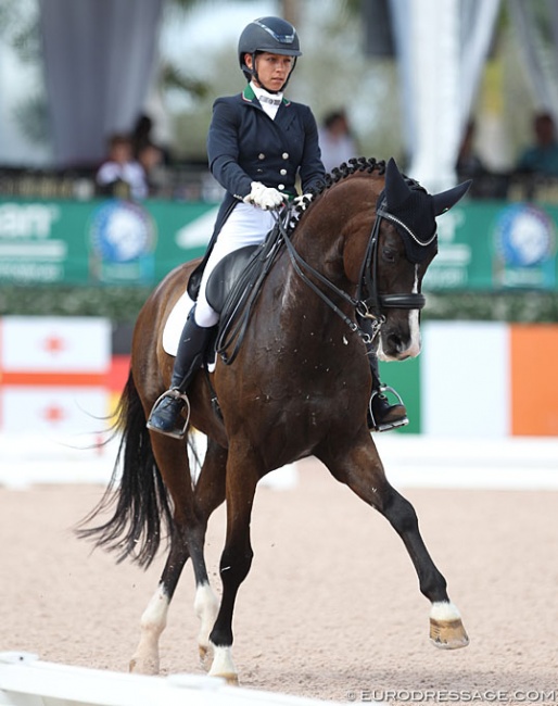 Monica Burssens and Sao Passionato at the 2018 CDI Wellington :: Photo © Astrid Appels