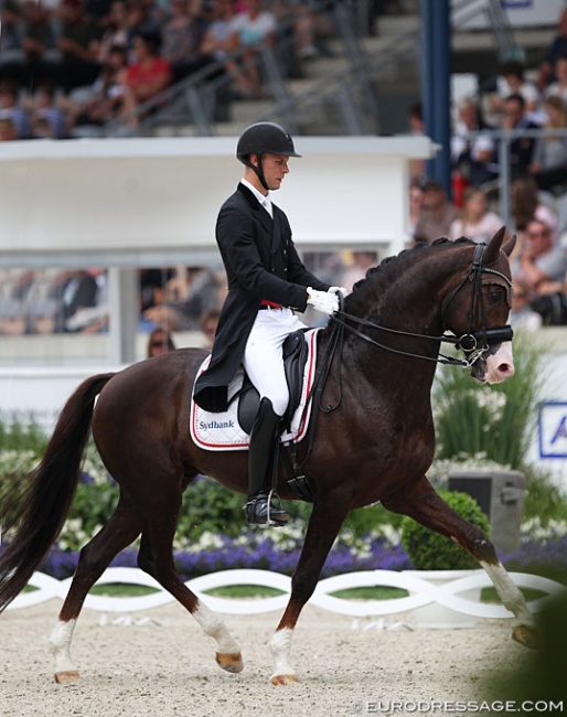Daniel Bachmann Andersen and Blue Hors Don Olymbrio at the 2019 CDIO Aachen :: Photo © Astrid Appels