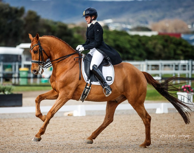 Pauline Carnovale and Captain Cooks at the 2019 CDI Boneo :: Photo © Stephen Mowbray