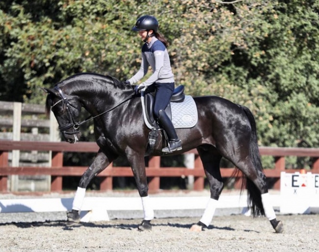 Miki Yang and Ascot de Massa at Four Winds Farm in Los Altos Hills, CA :: Photo © Joseph Newcombe