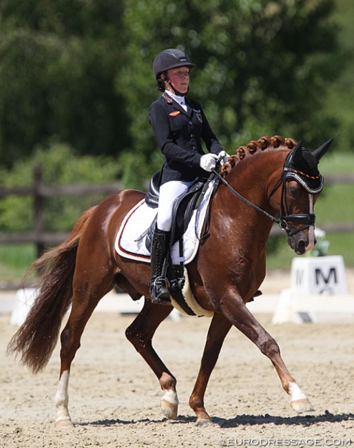 Antonia Busch-Kuffner on Daily Pleasure at the 2019 CDI Leudelange :: Photo © Astrid Appels