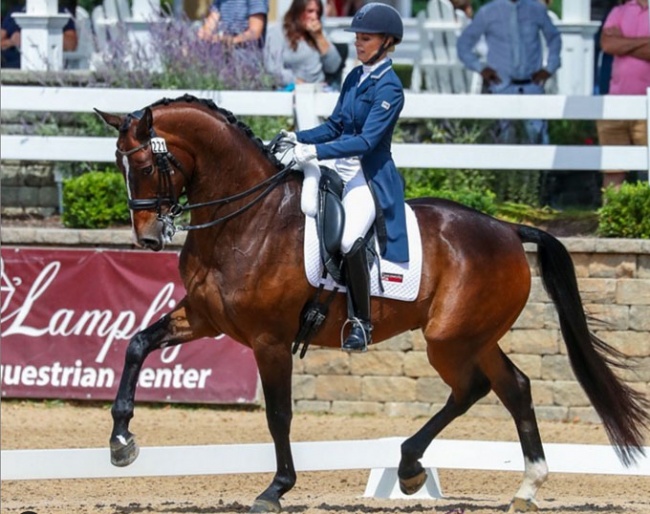 Niki Clarke on Coral Reef Scoobydooh at the 2019 CDN Dressage at Lamplight :: Photo © Sue Stickle