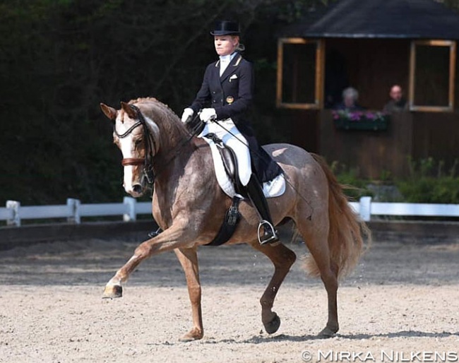 Annabel Frenzen and Loxley's Lovely :: Photo © Mirka Nilkens