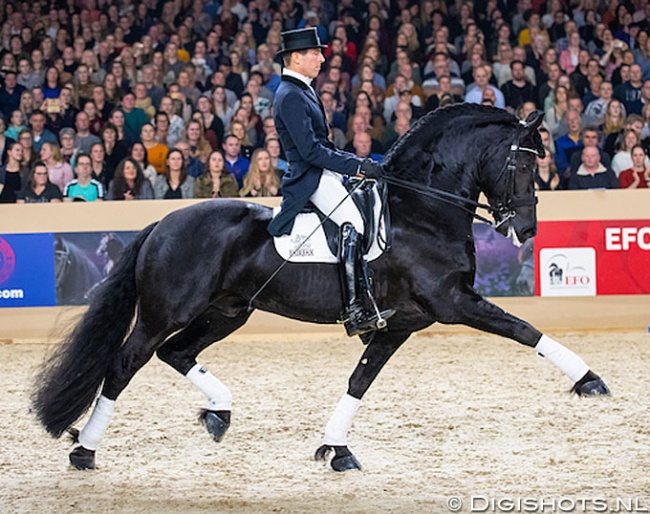 Marc-Peter Spahn and Horse of the Year Elias 494 in front of a sell-out crowd at the 2020 Friesian Stallion Licensing in Leeuwarden :: Photo © Digishots