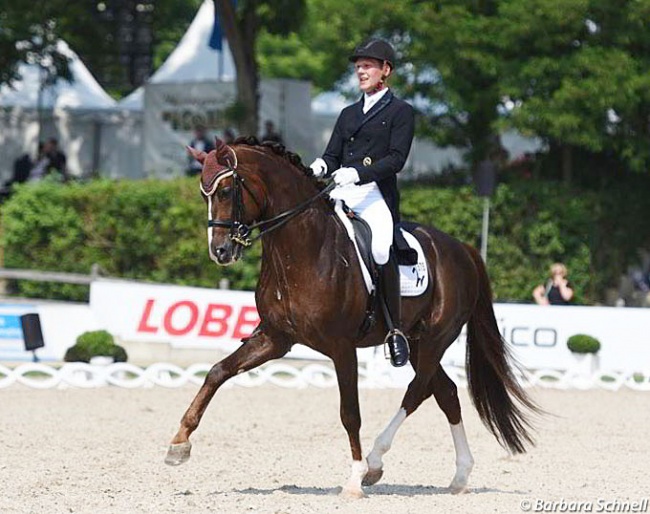 Niklaas Feilzer and Quotenkönig competing at the 2018 CDN Balve :: Photo © Barbara Schnell
