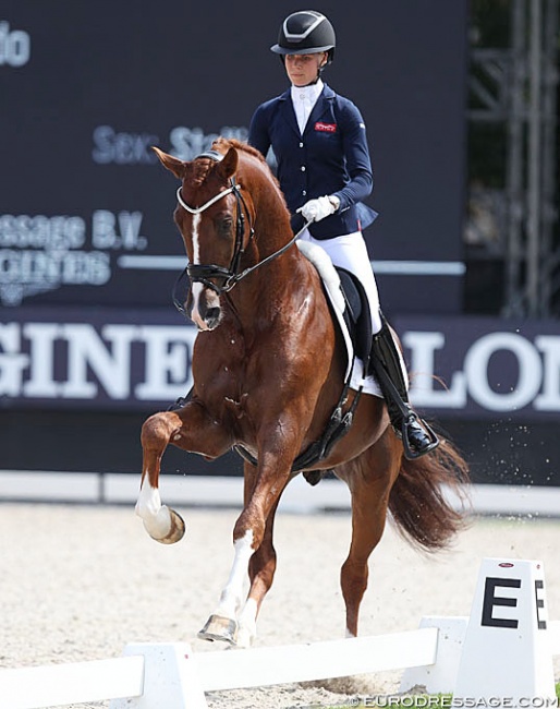Juliane Brunkhorst and Ibiza at the 2018 World Young Horse Championships in Ermelo :: Photo © Astrid Appels