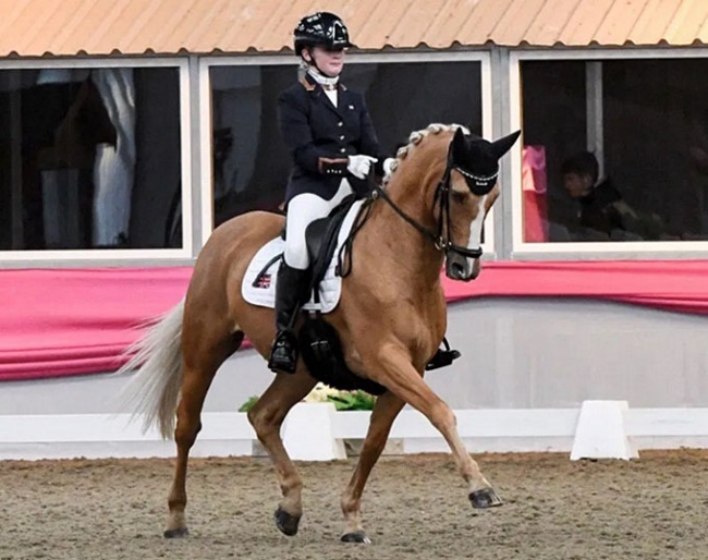 Betsy Smetham on Amber V :: Photo © Karen Chaplin