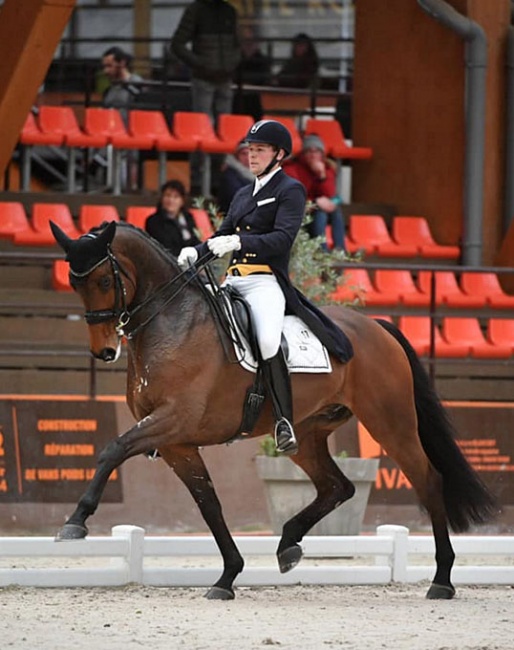 Henri Ruoste and Kontestro DB at the 2020 CDI Le Mans :: Photo © Les Garennes