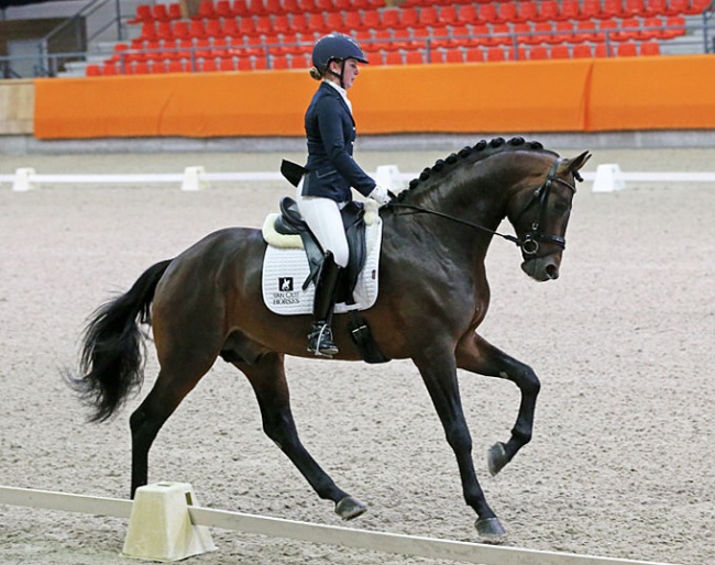 Lydia Jordan on Gregory at the 2020 NRPS Stallion Performance Testing :: Photo courtesy Van Olst