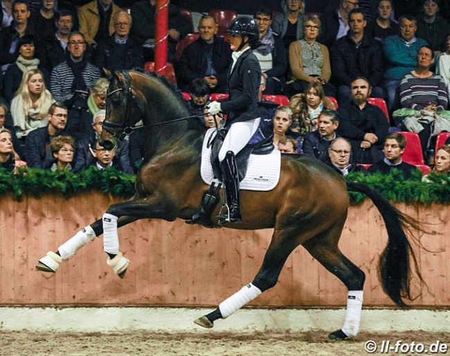 Anne-Mette Strandby Hansen and Dynamic Dream at the stallion show in Vechta on 2 February 2020 :: Photo © LL-foto