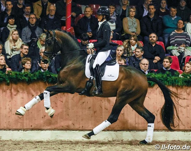 Anne-Mette Strandby Hansen and Dynamic Dream at the stallion show in Vechta on 2 February 2020 :: Photo © LL-foto