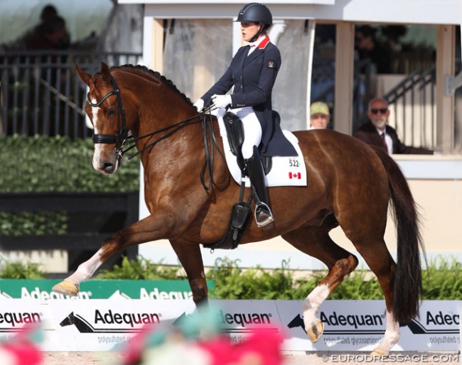 Brittany Fraser-Beaulieu and All In at the 2020 CDI 5* Wellington :: Photo © Astrid Appels
