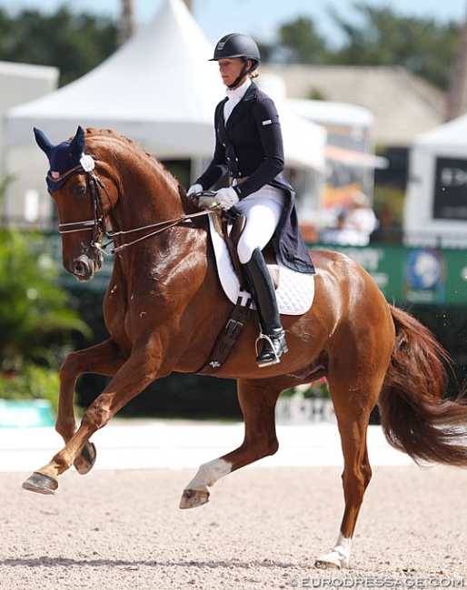 Heather Blitz and Paragon at the 2014 Palm Beach Dressage Derby CDI :: Photo © Astrid Appels