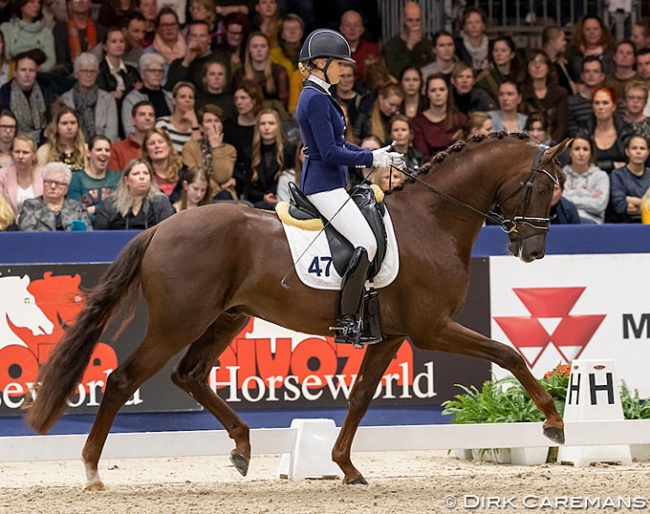 Vai Bruntink and Kilimanjaro in a show at the 2019 KWPN Stallion Licensing :: Photo © Dirk Caremans