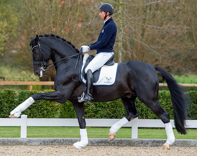 Patrik Kittel and Sezuan in November 2019 :: Photo © Tanja Becker