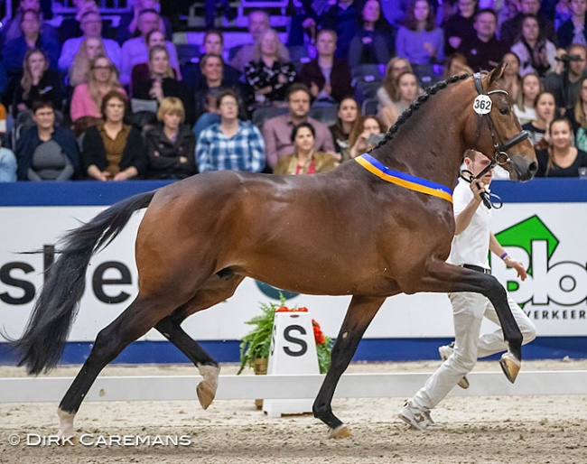 Monte Carlo (by Dream Boy x United x Jazz) :: Photo © Dirk Caremans