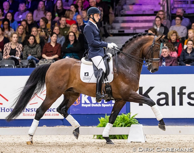 Manuel Springhetti and Inverness at the 2020 KWPN Stallion licensing show :: Photo © Astrid Appels