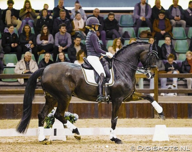 Alexa Fairchild and Dabanos d'O4 in a clinic with Tineke Bartels at the 2020 CDI Lier :: Photo © Leanjo de Koster