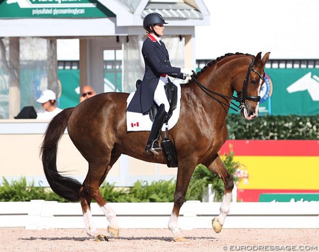 Brittany Fraser-Beaulieu and All In at the 2020 CDI 5* Wellington :: Photo © Astrid Appels