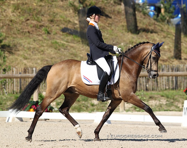 Sanne Vos and Champ of Class win individual test gold at the 2012 European Pony Championships :: Photo © Astrid Appels