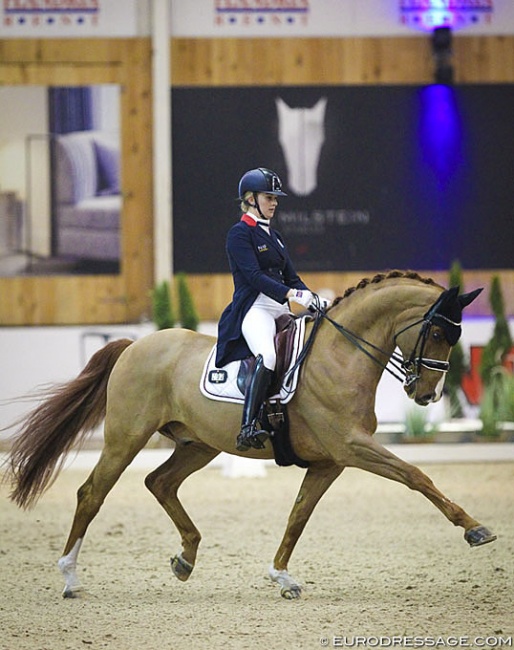 Ellen McCarthy and Belafonte at the 2019 CDI Lier :: Photo © Astrid Appels