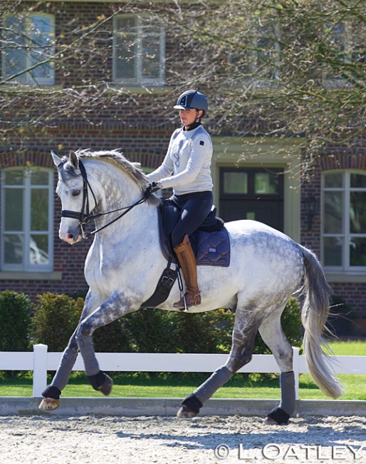 Lyndal Oatley on her new Grand Prix horse Eros at her home, Gestüt Eulenhof, in Dulmen, Germany :: Photo © Oatley