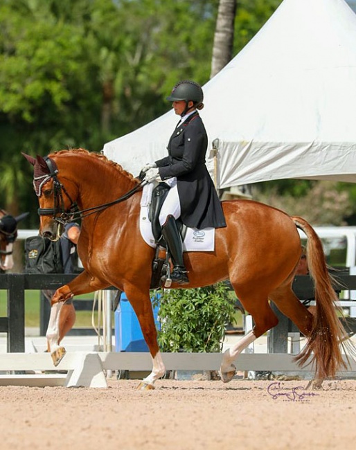 Denielle Gallaghar competing at the 2020 Global Dressage Festival :: Photo © Sue Stickle