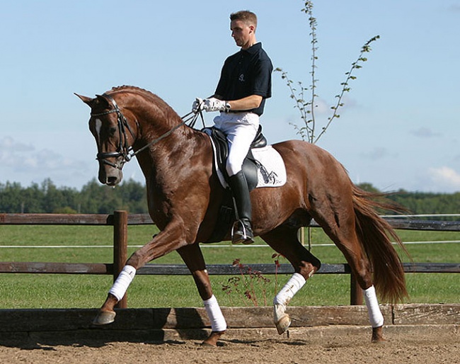 Andreas Helgstrand and Blue Hors Don Caruso